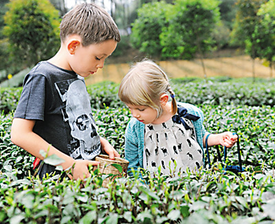 095322II-0.jpg 095322II-0.jpg