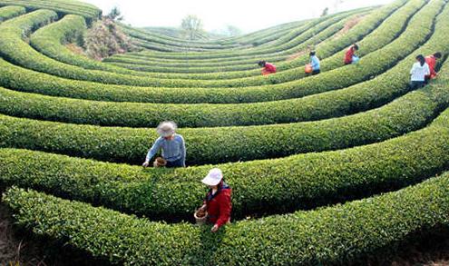 1-1FGQ4294c55.jpg 1-1FGQ4294c55.jpg