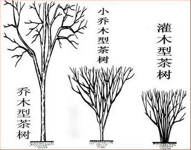 1-16111011421V18.png 1-16111011421V18.png