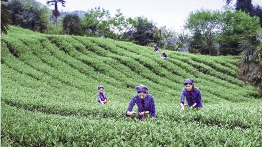 1S45J1c-0.jpg 1S45J1c-0.jpg