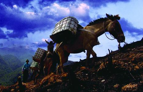 1-1610311111012B.png 1-1610311111012B.png