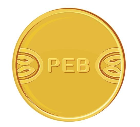 14305V2X-0.jpg 14305V2X-0.jpg